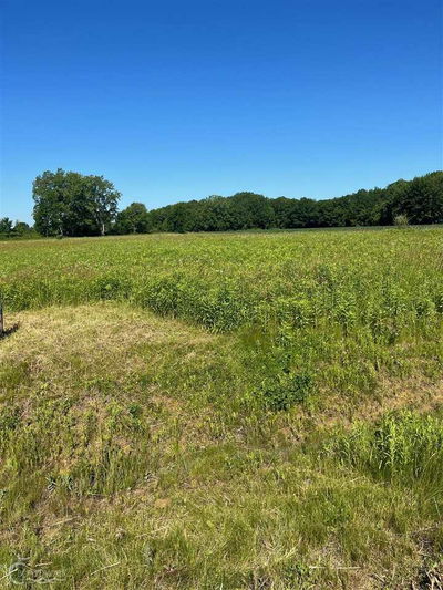 Avoca MI Residential Lots & Land For Sale: $99,000